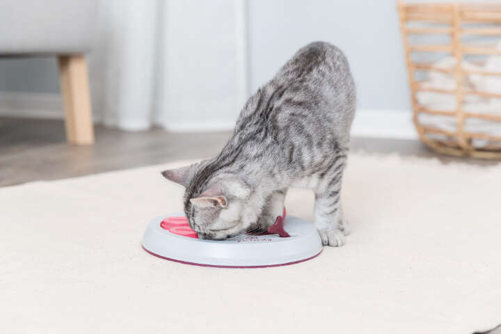 TRIXIE Katzenspiel Cat Activity Flip Board